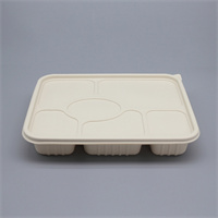Food container 6 grid 1200 ml from Disposables Inc. The best import service in China. Import your disposable items from us.